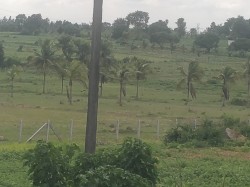 Malleswaram