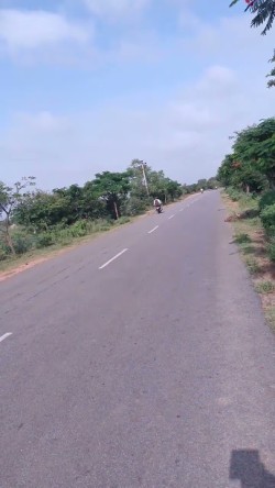Plot/ Land in Banki Cuttack