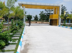 Plot/ Land in Shamirpet Hyderabad