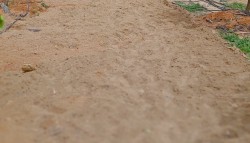 Plot/ Land in Bathalapalli Anantapur
