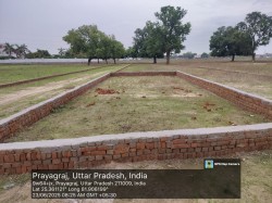 Pura Pandey