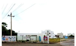STAR LUXOR HOME