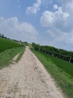 Plot/ Land in Sadar Bazaar Unnao