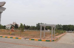 Pream Signature Park