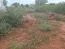 KARAIKUDI