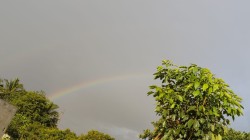 Plot/ Land in Kannur Bangalore