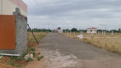 Plot/ Land in Sendamangalam Namakkal