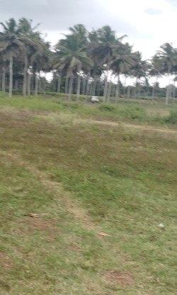 Plot/ Land in Hunsur Road Mysore