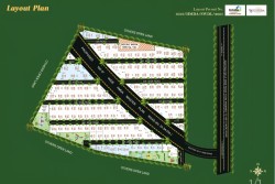 Pavani Meadows
