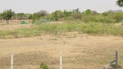 Plot/ Land in Yadagirigutta Hyderabad