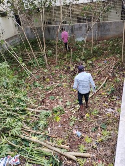 Kadrenahalli, Banashankari 2 stage, Bangalore 560070