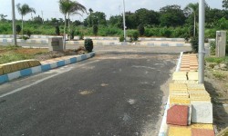 mamidipally
