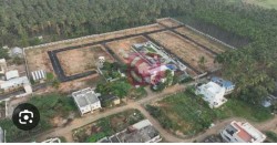 Plot/ Land in Madampatti Coimbatore