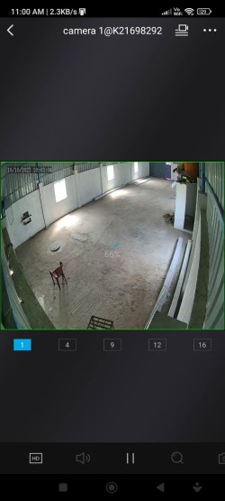 Commercial property for rent in Daminedu