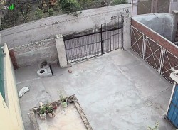 House House for rent in Betiahata